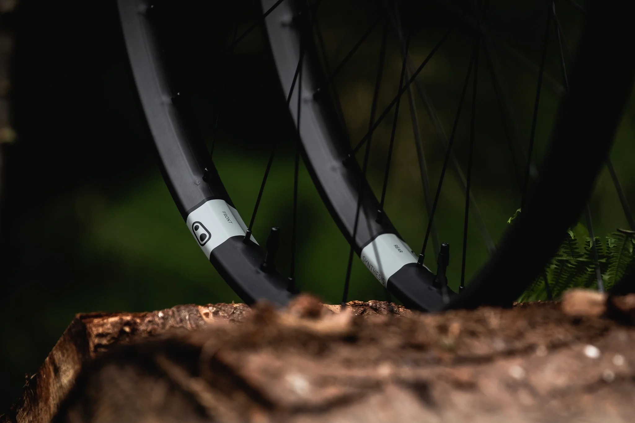 Elevate Your Ride Experience
