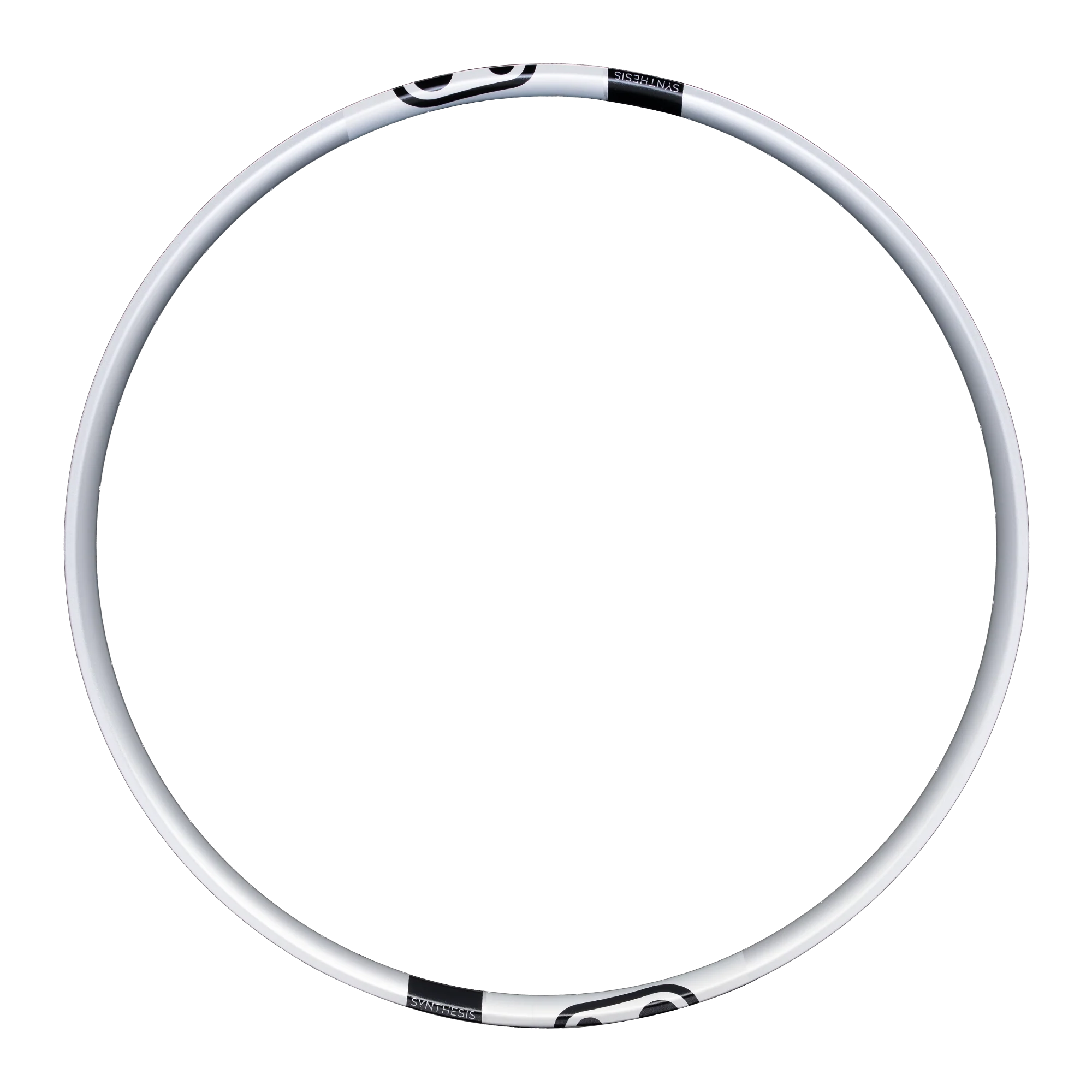 Synthesis DH & E-MTB Alloy 2.0 Rim - Image 4